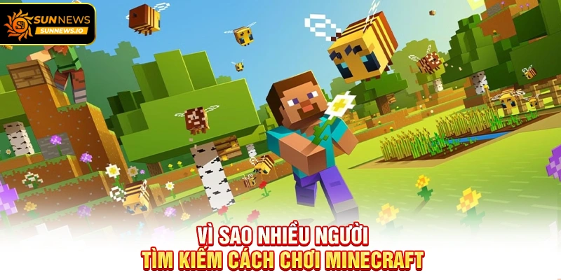 Vì sao nhiều người tìm kiếm Cách Chơi Minecraft